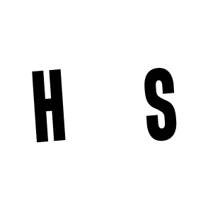 logo favicon hs